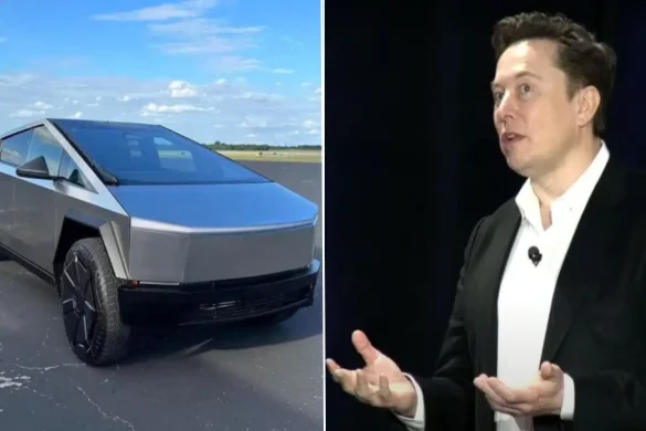 All About Elon Musk Truck