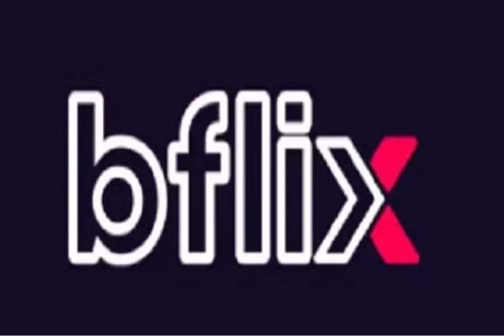 What is b flix?