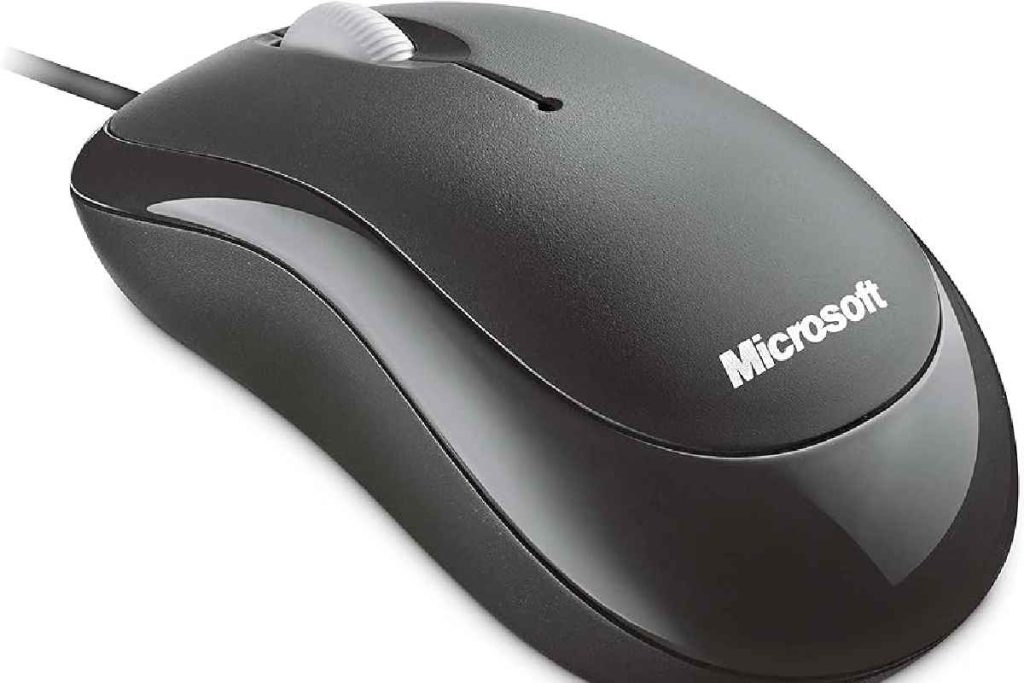 Computer Mouse