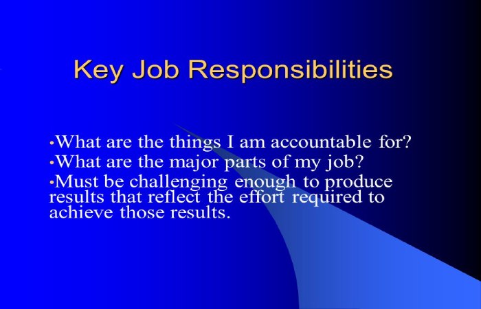 Key Job Responsibilities