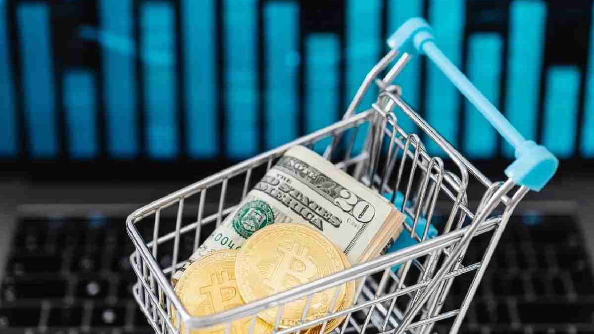TITANO CRYPTO: Everything You Need to Know About It