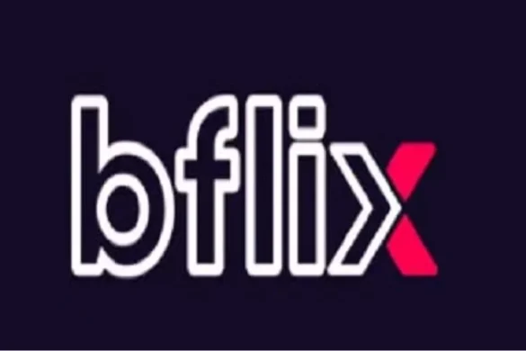 What-is-b-flix_